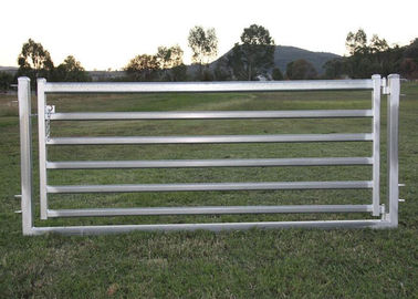 پانل های میزبان گوسفند قابل حمل 16 &quot;X 48&quot; گالوانیزه مواد 40mm مربع لوله