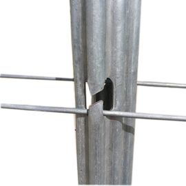 C Type Metal 1.5mm Grape Vine Stakes 1.8-3.5M Height