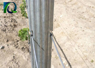 4.0m Heavy Duty Metal Vineyard Trellis Posts With H Shaped Holes