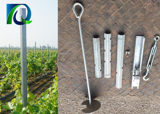 روکش دار 275G 1.5MM ضخامت تاکستان انگور Trellis ارسال ها