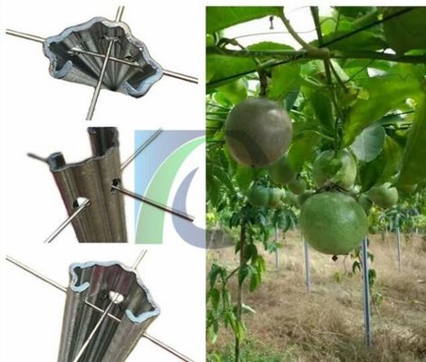275G / M2 2.4M ارتفاع 1.5 میلی متر انگور انگور فلزی برای باغ