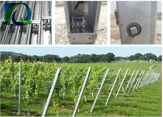 1.5mm 54X30MM انگور Trellis Post با 2 سوراخ سوراخ